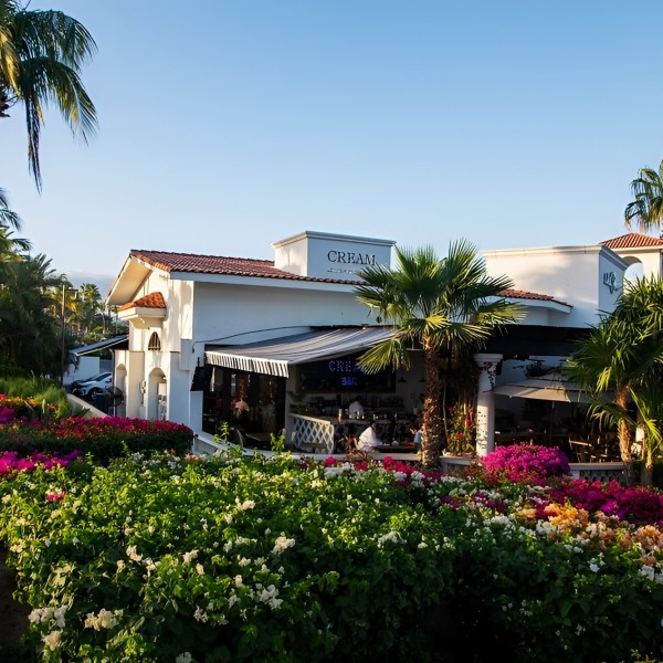 Cream Cafe (Palmilla)